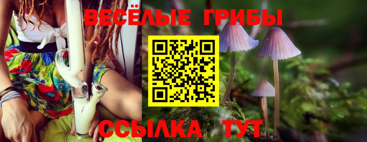 Псилоцибиновые грибы прущие грибы  Вход с VPN  Псилоцибиновые грибы Magic Shrooms  Южно-Сахалинск 